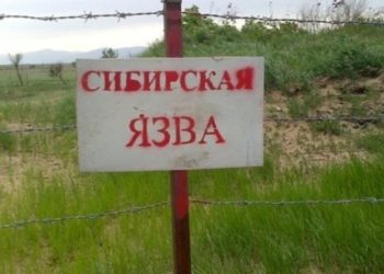 Күйдүргүгө шектелип Сузак районунун 8 тургуну ооруканага жаткырылды