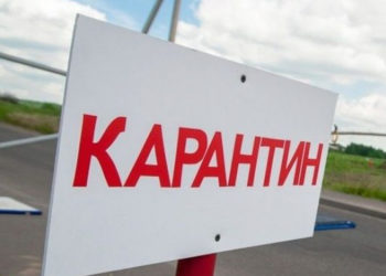 Күйдүргүгө байланыштуу Аксы районундагы айылга карантиндик чектөө киргизилди