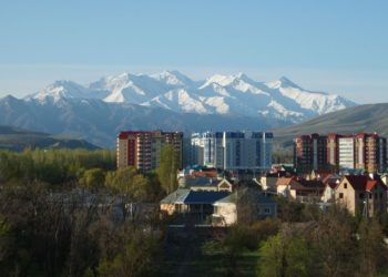 Баасы 92 миллион сомдук жер тилке мамлекетке кайтарылды