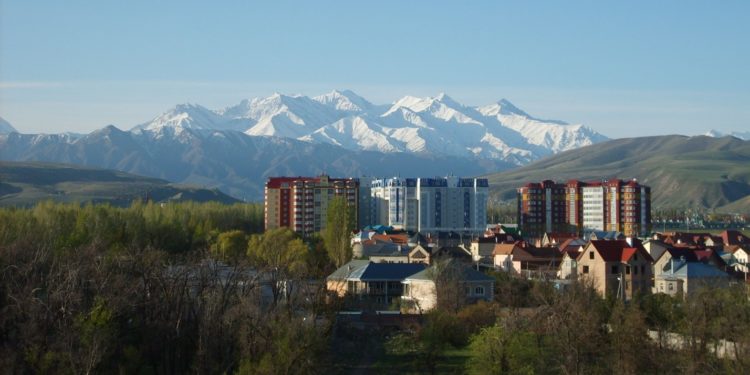 Баасы 92 миллион сомдук жер тилке мамлекетке кайтарылды