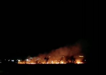 Бишкектеги «Ынтымак» сейил багында өрт чыкты