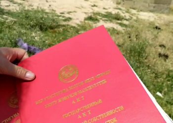 Кара-Сууда ата-энесинен ажыраган балдар үй куруу үчүн жер алышты