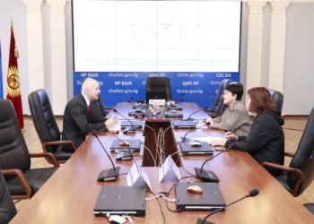 БШК менен TikTok саясий үгүттү алдын алуу үчүн кызматташат