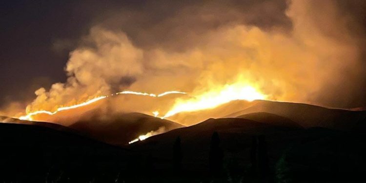 Бүгүн түнү Байгелди айылында тоонун боорунда куураган чөптөн өрт чыкты (видео)