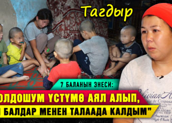 “Жолдошум үстүмө аял алып, мен балдар менен талаада калдым” дейт 7 баланын энеси