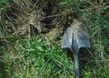 «Токойго көмүп койгон». Орусияда эки кичинекей кызды зордуктоого шектелген жарандын жансыз денеси табылды