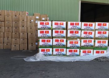 Кыргызстанга Кытайдан кезектеги гуманитардык жүк келди (сүрөт, видео)