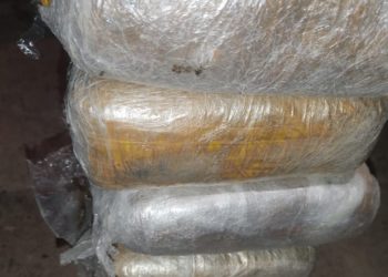 Жалал-Абаддын тургунунан 6 килограммдан ашык гашиш табылды