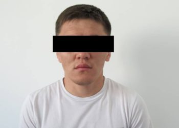 «13 үйгө ууруга киришкен». Нарында бир нече уурулукка шектелген 2 жаран кармалды