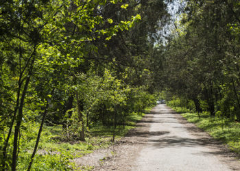 Үйүнөн белгисиз тарапка чыгып кеткен аялдын жансыз денеси Ботаникалык бакчадан табылды