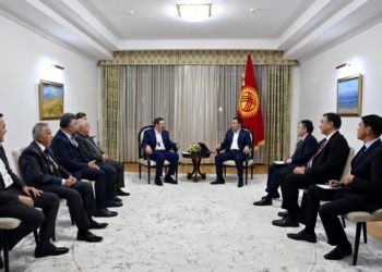 Садыр Жапаров ноябрь айында Түркиянын президенти менен жолугат