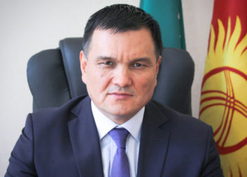 Салык кызматына жаңы жетекчи дайындалды