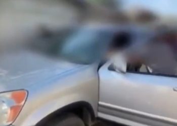 Милиция «Чынар» кичи базарындагы каракчылыктын видеосун көрсөттү