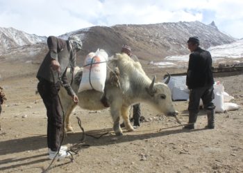«55 тонна ун, 5 тонна туз, 10 тонна кумшекер…» Памирдеги кыргыздарга гуманитардык жардам жеткирилди