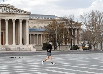 Акыркы суткада 81 адамдан коронавирус аныкталып, 2 киши каза болду. Статистика