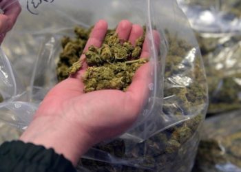 Абакка баңгизат ташыгандар аныкталды. Алардын арасында жазасын өтөп жаткандар да бар