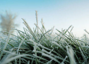 ӨКМ: «Кыргызстандын айрым аймактарында үшүк жүрүшү мүмкүн»