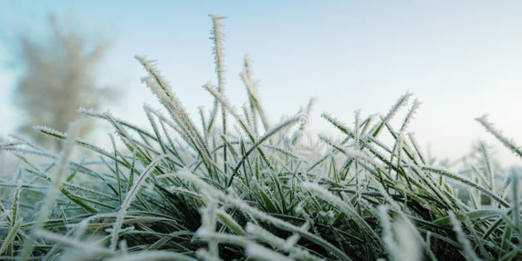 ӨКМ: «Кыргызстандын айрым аймактарында үшүк жүрүшү мүмкүн»