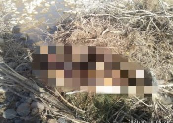 Нарын дарыясынын жээгинен белгисиз жарандын жансыз денеси табылды