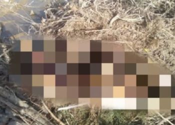 «Артында 2 баласы калды». Денеси Нарын дарыясынын жээгинен табылган адамдын аты-жөнү такталды