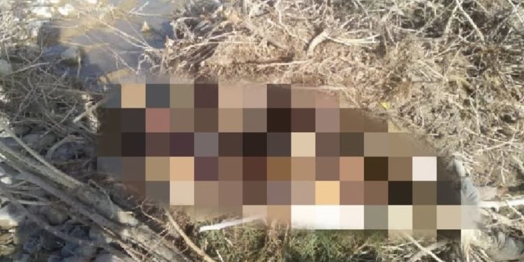 «Артында 2 баласы калды». Денеси Нарын дарыясынын жээгинен табылган адамдын аты-жөнү такталды