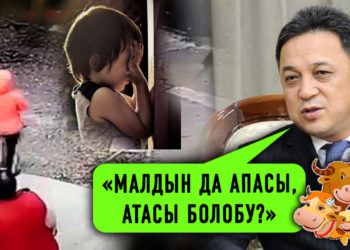 ЖАҢЫЛЫКТАР.«Малдын да апасы, атасы болобу?» Жогорку Кеңештин кезектеги ха-ха талкуусу…