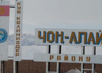 Чоң-Алайда ата-энесинен ажыраган бала жер тилкеге ээ болду