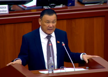 Президенттин кортежине бодо малдар тоскоолдук кылып жатабы? Депутат жол боюна мал жайганды токтотуш керек дейт