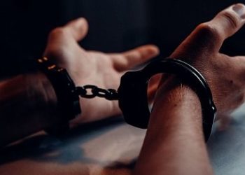 «Түн ичинде сарайга кирип…» Чүйдө милиция тарабынан 3 жигит кармалды