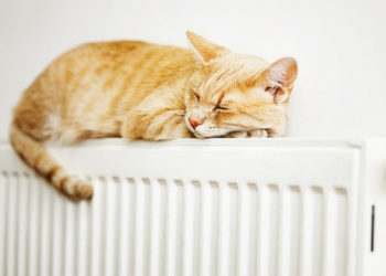 Эртең, 5-октябрда Бишкекте жылытуу сезону башталат