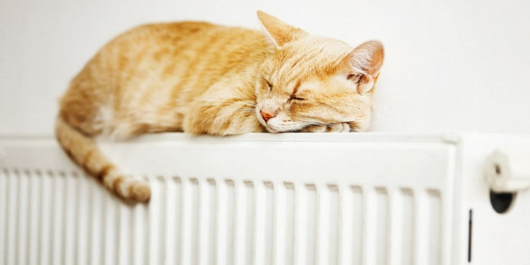 Эртең, 5-октябрда Бишкекте жылытуу сезону башталат