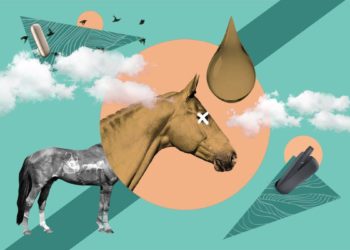 «Жылкыны өлтүргөн бир тамчы никотин» жөнүндөгү фактылар жана уламыштар