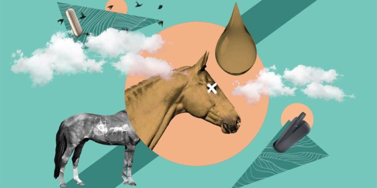 «Жылкыны өлтүргөн бир тамчы никотин» жөнүндөгү фактылар жана уламыштар