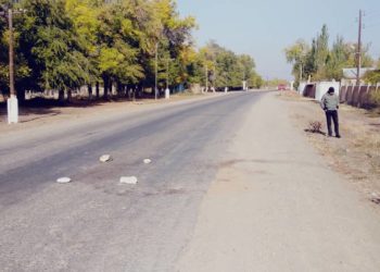 Таласта 8-класстын окуучусун өлтүрө сүзүп, качып кеткен айдоочу изделип жатат