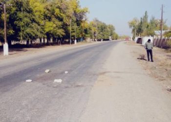 Таласта мектеп окуучусун өлтүрө сүзүп, качып кеткен айдоочу кармалды