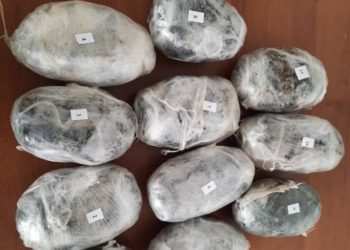 Баңгизат сатууга шектелип Тажик жараны кармалды. Андан 9,5 килограмм гашиш табылган