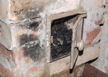 Сузакта үч баланын жансыз денеси табылды. Алардын апасы оор абалда