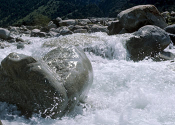 Ала-Арча дарыясындагы көпүрөнүн алдынан эркек кишинин жансыз денеси табылды