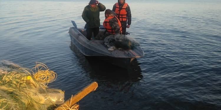 Ысык-Көлдө 4100 метр балык уулоочу тор табылды (сүрөт)