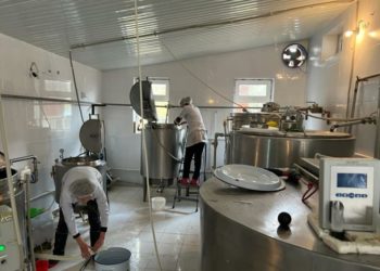 Ала-Букада сүттү кайра иштетүүчү ишкана ачылат (сүрөт)