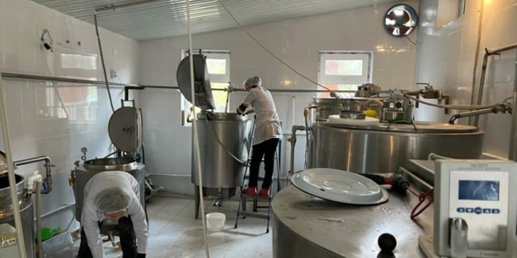 Ала-Букада сүттү кайра иштетүүчү ишкана ачылат (сүрөт)