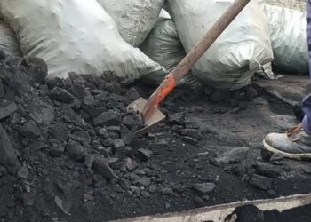 Көмүрдүн баасын жөнгө салуу. Мыйзам бузгандар 17 миң сом айыпка жыгылышы мүмкүн