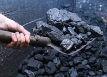 Бишкекте 3 миң сомдон көмүр саткан кошумча кампа ачылды. Дареги