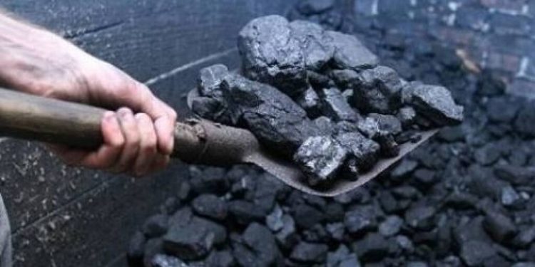 Бишкекте 3 миң сомдон көмүр саткан кошумча кампа ачылды. Дареги