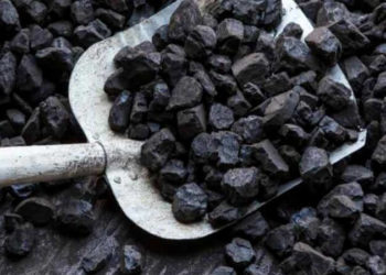 Депутаттар көмүрдүн баасын жана тартыштыгын талкуулашты