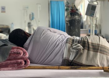 Колониядагы жаран метадонду уктатуучу дары менен ичип, ооруканага түштү