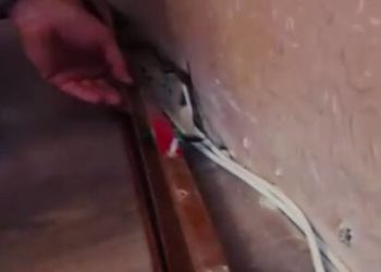 «Ордо» партиясынын штабынан жашыруун камера жана тыңшоочу жабдык табылды (видео)