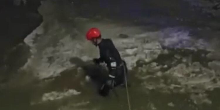 Куткаруучулар түн ичинде Ала-Арча суусуна секирди делген кишини издешти (видео)