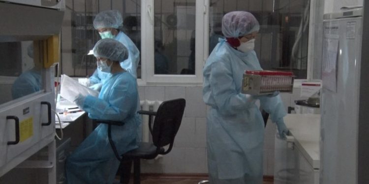 Октябрда коронавирус оорусу эң көп Бишкек, Чүй жана Ысык-Көлдө катталган