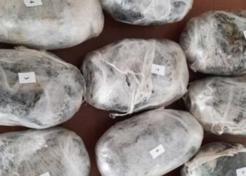 ИИМ: «Кыргызстанда 9 ай ичинде мыйзамсыз жүгүртүүдөн 3 тоннадан ашык баңгизат алынды»